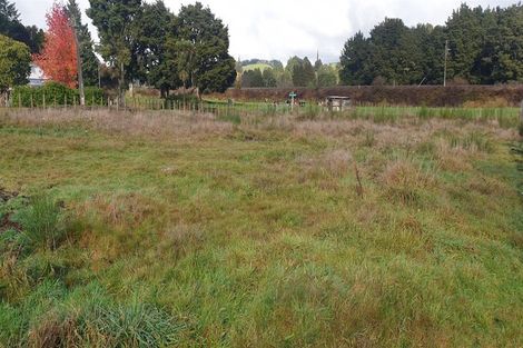 Photo of property in 7 Peter Mcintyre Street, Kakahi, 3989