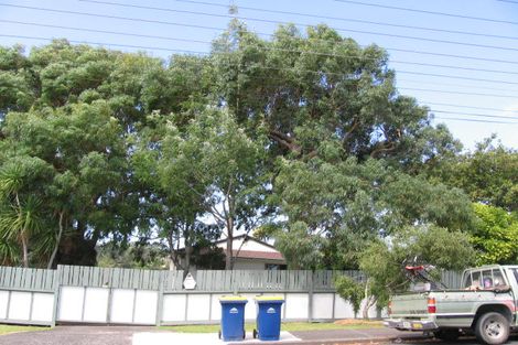 Photo of property in 87 Verbena Road, Birkdale, Auckland, 0626