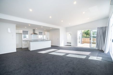 Photo of property in 15b Haydon Street, Roslyn, Palmerston North, 4414