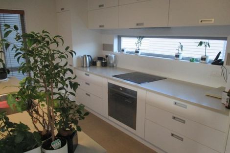 Photo of property in 3/63 Burke Street, Addington, Christchurch, 8024