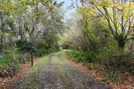 Photo of property in 918 Dairy Flat Highway, Dairy Flat, Albany, 0792