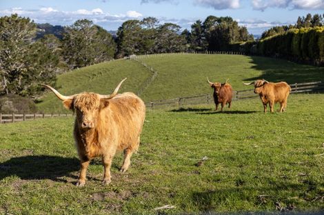 Photo of property in 601 Ridge Road, Riverhead, Albany, 0793