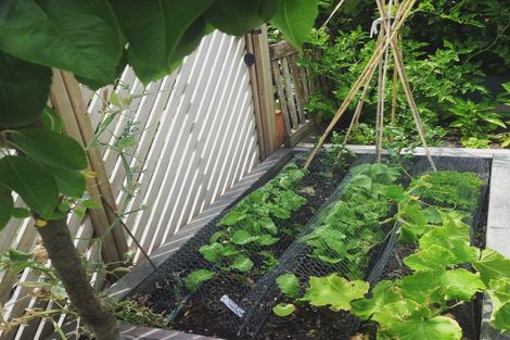 Photo of property in 42 Glamis Avenue, Strathmore Park, Wellington, 6022