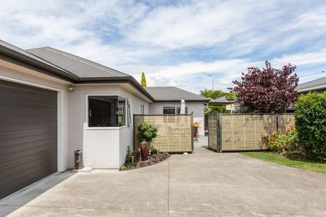 Photo of property in 87a Avondale Road, Greenmeadows, Napier, 4112