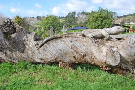 Photo of property in 5 Lupis Way, Kaiwaka, 0573