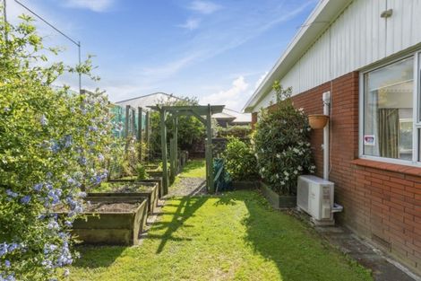 Photo of property in 3/126 Fourteenth Avenue, Tauranga South, Tauranga, 3112