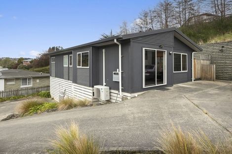 Photo of property in 338 Kaikorai Valley Road, Bradford, Dunedin, 9011