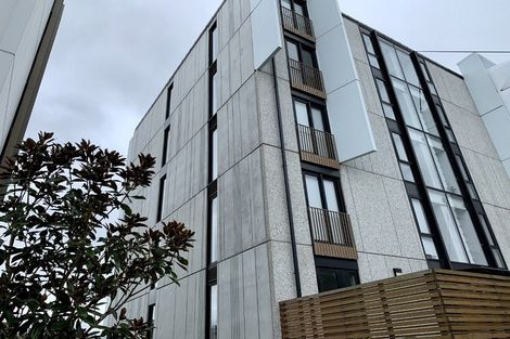 Photo of property in 301/1 Bluegrey Avenue, Stonefields, Auckland, 1072