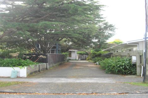 Photo of property in 25 Pinny Avenue, Epuni, Lower Hutt, 5011