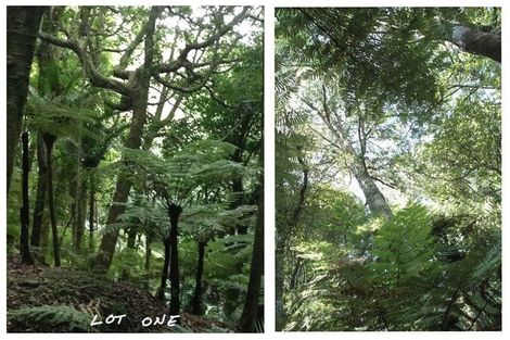 Photo of property in 540 Kawakawa-orere Road, Orere Point, Papakura, 2585