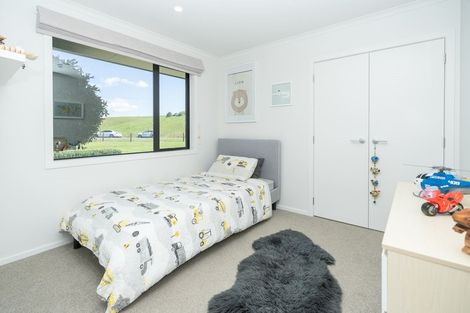 Photo of property in 133 Robson Road, Ngahinapouri, Hamilton, 3290