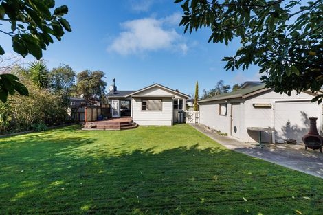 Photo of property in 45 College Street, Awapuni, Palmerston North, 4412