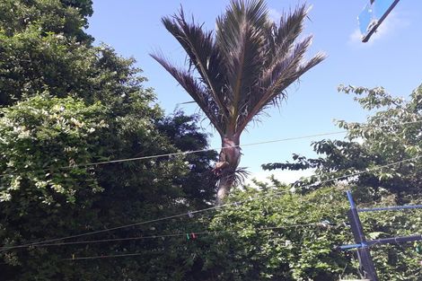 Photo of property in 26 Bentham Street, Westport, 7825