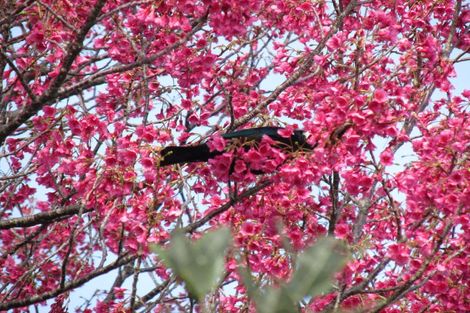 Photo of property in 61 Nuhaka Opoutama Road, Nuhaka, 4198