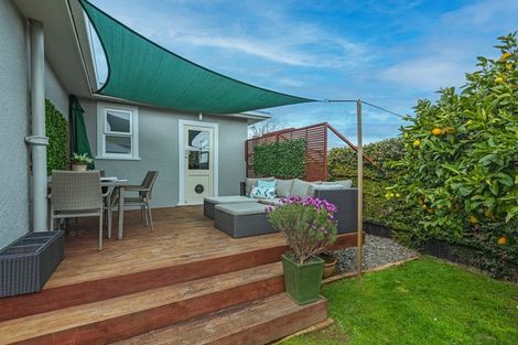Photo of property in 21 Salisbury Avenue, Terrace End, Palmerston North, 4410