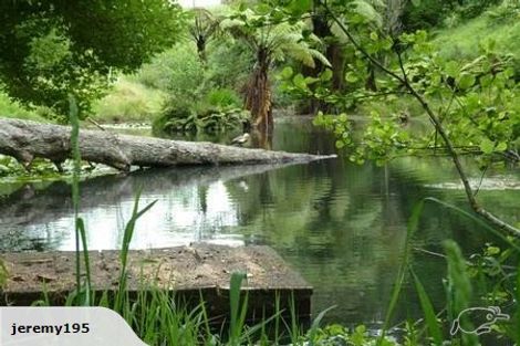 Photo of property in 113 Veale Road, Ridgewood, New Plymouth, 4371