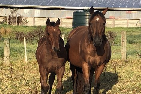 Photo of property in 492 Wairere Road, Paparoa, 0571