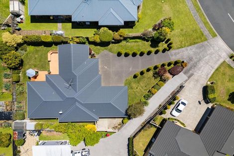 Photo of property in 12 Bridie Avenue, Matamata, 3400
