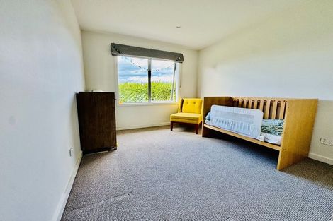 Photo of property in 77 Lochhead Street, Mahora, Hastings, 4120