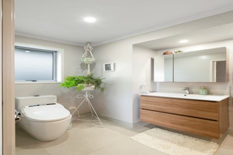 Photo of property in 64 Darlington Street, Ngatea, 3503