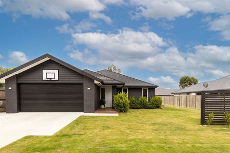 Photo of property in 40 Grigg Drive, Witherlea, Blenheim, 7201