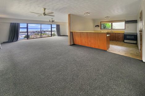 Photo of property in 28 Hospital Terrace, Hospital Hill, Napier, 4110
