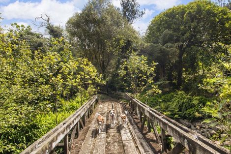 Photo of property in 397 Busby Road, Tahawai, Katikati, 3170