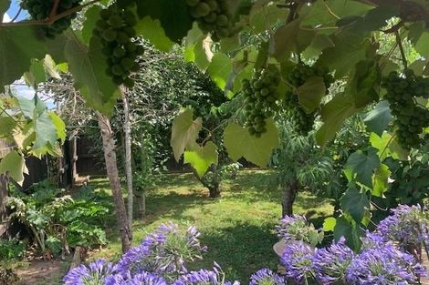 Photo of property in 171 Williams Street, Cambridge, 3434