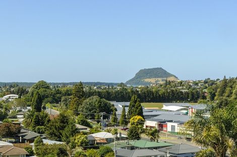 Photo of property in 247 Bellevue Road, Bellevue, Tauranga, 3110