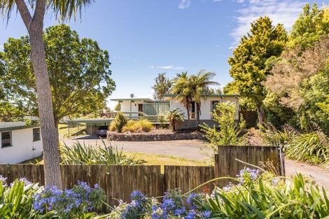 Photo of property in 1-3 East Road, Shannon, 4821