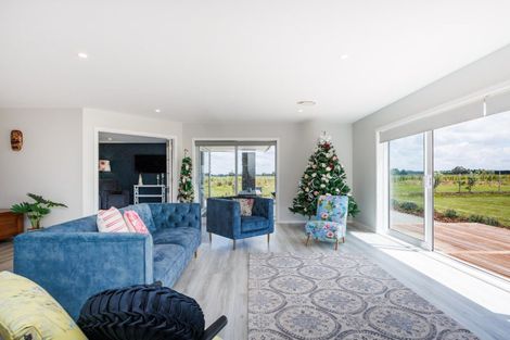 Photo of property in 455a Taonui Road, Colyton, Feilding, 4775
