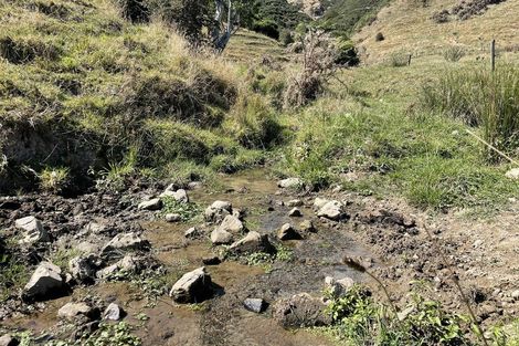 Photo of property in 61 Mickell Road, Hautere, Otaki, 5582