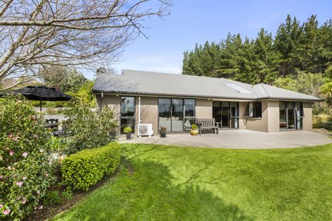 Photo of property in 2b Maungatawhiri Road, Raglan, 3295