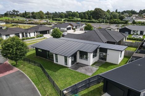 Photo of property in 29 Maggie Place, Chartwell, Hamilton, 3210