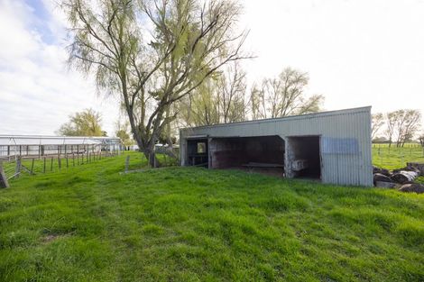 Photo of property in 582 Milson Line, Newbury, Palmerston North, 4478