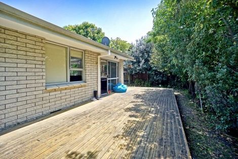 Photo of property in 9 Harrier Street, Parkvale, Tauranga, 3112