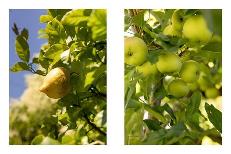 Photo of property in 22b Hynds Road, Gate Pa, Tauranga, 3112