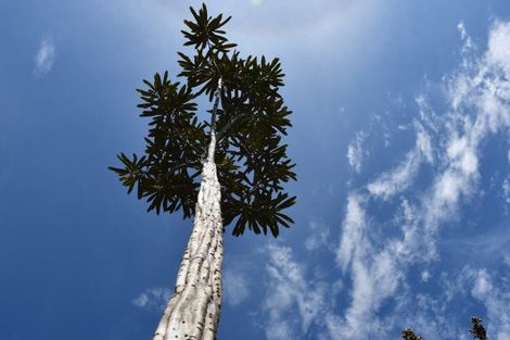 Photo of property in 78b Eco Place, Little Wanganui, Karamea, 7893