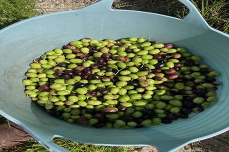 Photo of property in 101 Pukenui Road, Ngunguru, Whangarei, 0173