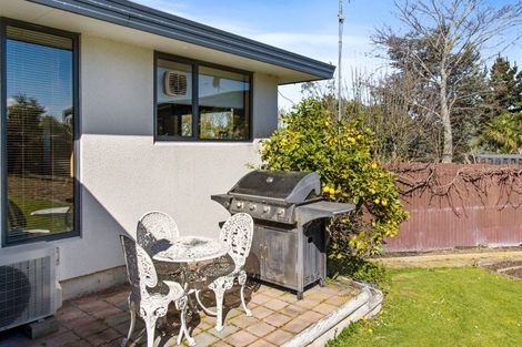 Photo of property in 11a Richards Place, Kensington, Timaru, 7910