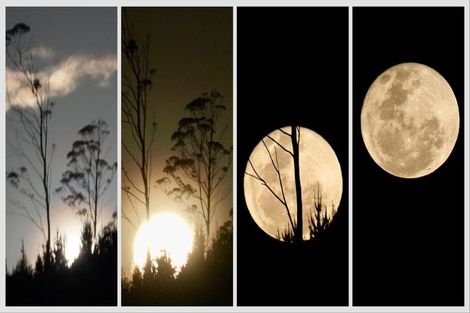 Photo of property in 22a Martin Place, Whakatane, 3120