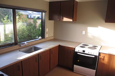 Photo of property in 31b Limbrick Street, Terrace End, Palmerston North, 4410