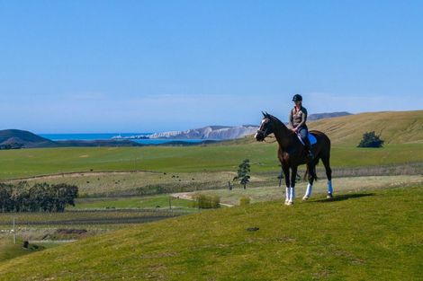 Photo of property in 59 Marama Road, Seddon, 7285