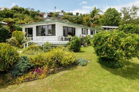 Photo of property in 90 Haukore Street, Hairini, Tauranga, 3112