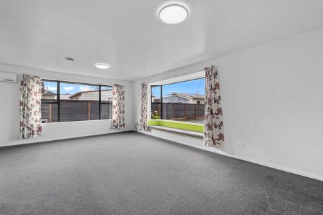 Photo of property in 45a Eton Street, Hampstead, Ashburton, 7700