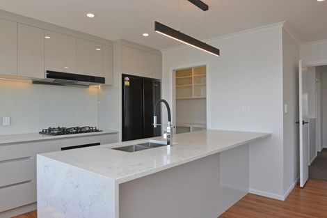 Photo of property in 19 Bendigo Grove, Newlands, Wellington, 6037