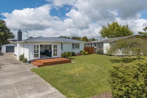 Photo of property in 32 Snowdon Avenue, Terrace End, Palmerston North, 4410