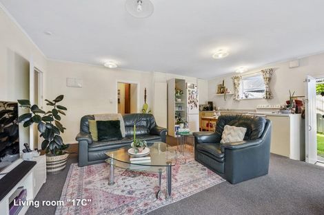 Photo of property in 17 Tavistock Road, Melrose, Wellington, 6023