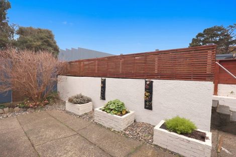Photo of property in 36 Theodore Street, Bluff, 9814
