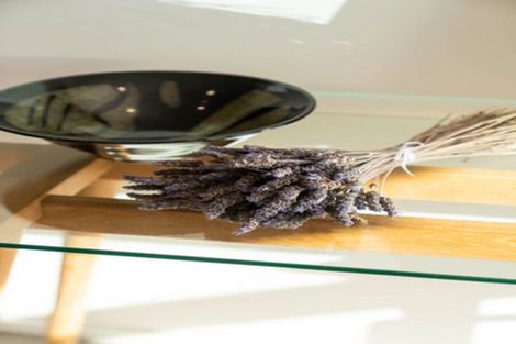 Photo of property in 7 Ada Way, Gate Pa, 3112